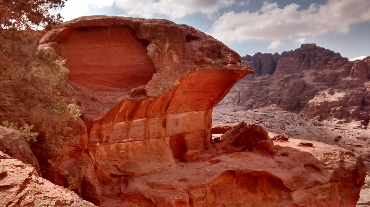 Petra Bedouin Bed And Breakfast Wadi Musa Exterior foto