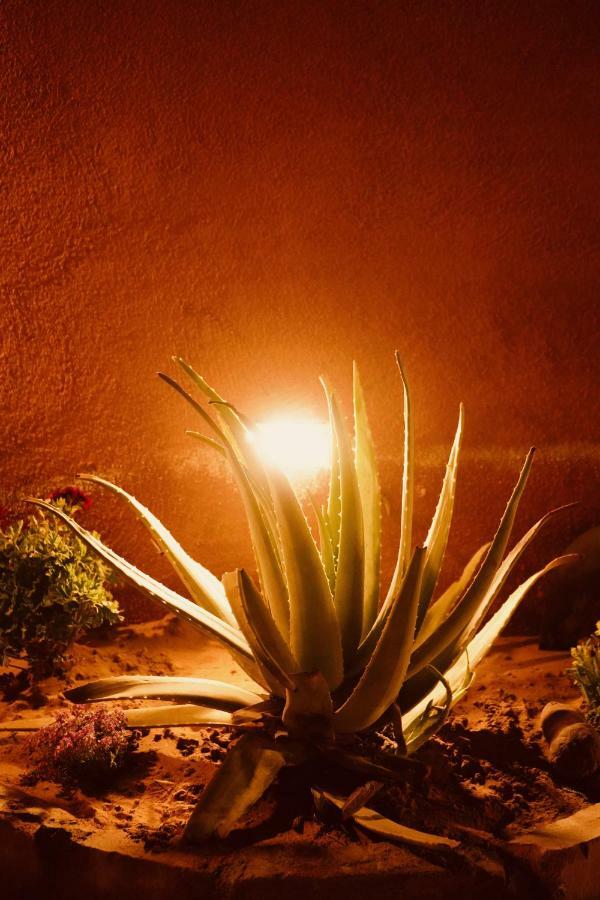 Petra Bedouin Bed And Breakfast Wadi Musa Exterior foto